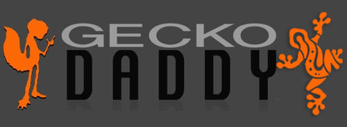 Gecko Daddy